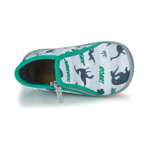 Citrouille et Compagnie - IMAGINE - GRIS-VERT