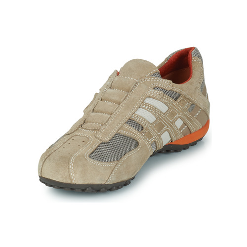Geox - SNAKE L - Beige