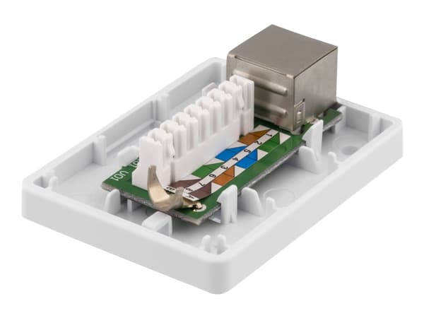 DELTACO VR-220 - Overflatemonteringsboks for nettverk - overflatemonterbar - CAT 6a - FTP - RJ-45 - hvit