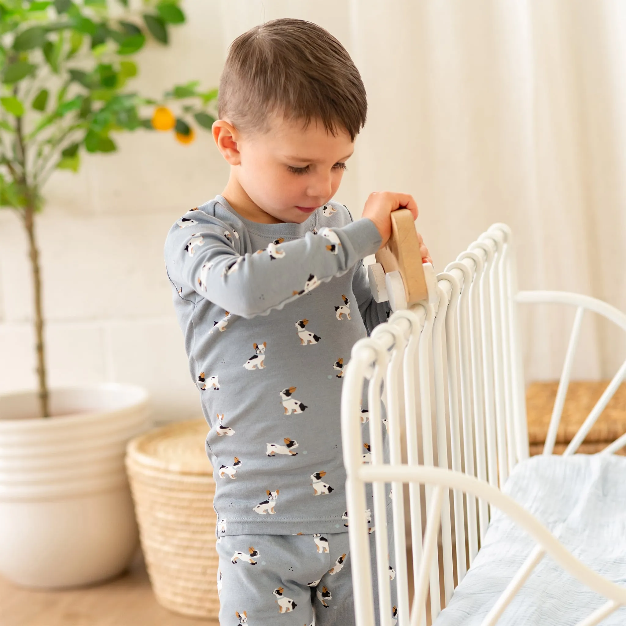 Firsts par Petit Lem Pyjama 2 Pièces Bouledogue 12-24mois