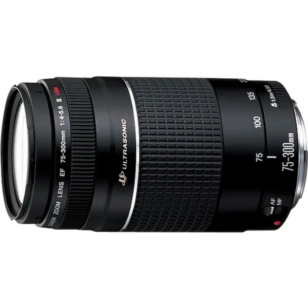 Canon EF - Telefoto zoom objektiv - 75 mm - 300 mm - f/4.0-5.6 III - Canon EF - for EOS 1000, 1D, 50, 500, 5D, 7D, Kiss F, Kiss X2, Kiss X3, Rebel T1i, Rebel XS, Rebel XSi
