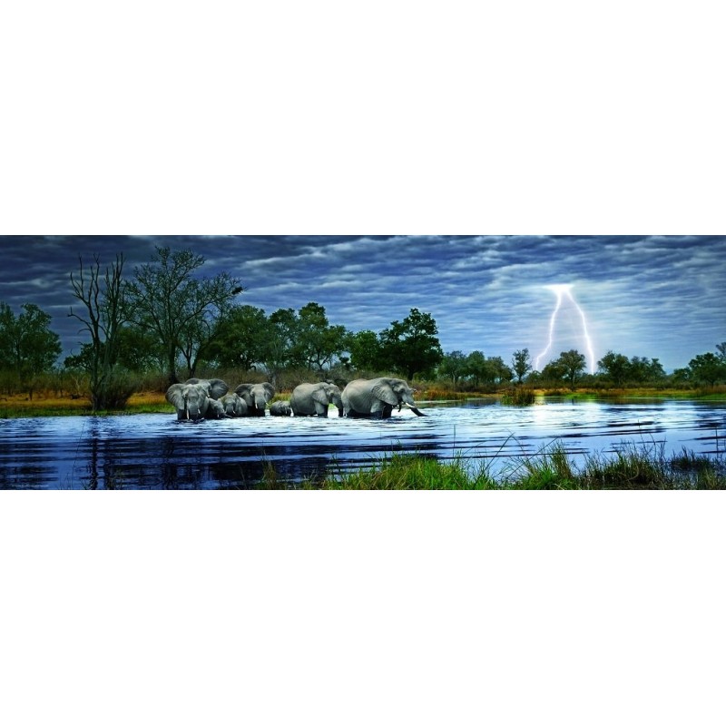 Puzzle - Herd of Elephants - 2000 pièces