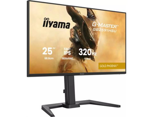 IIYAMA - Ecran 24.5 pouces Full HD G-Master GB2591HSU-B1