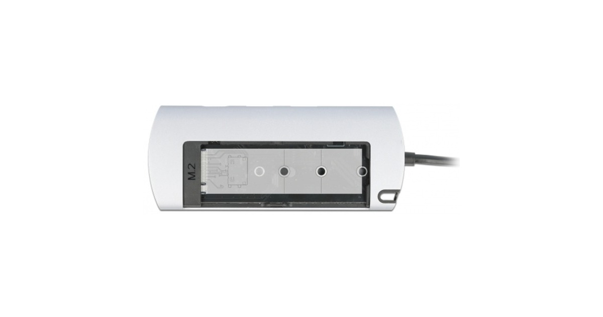 DeLOCKUSB Type-C Docking Station met M.2 Slot  (Grijs)