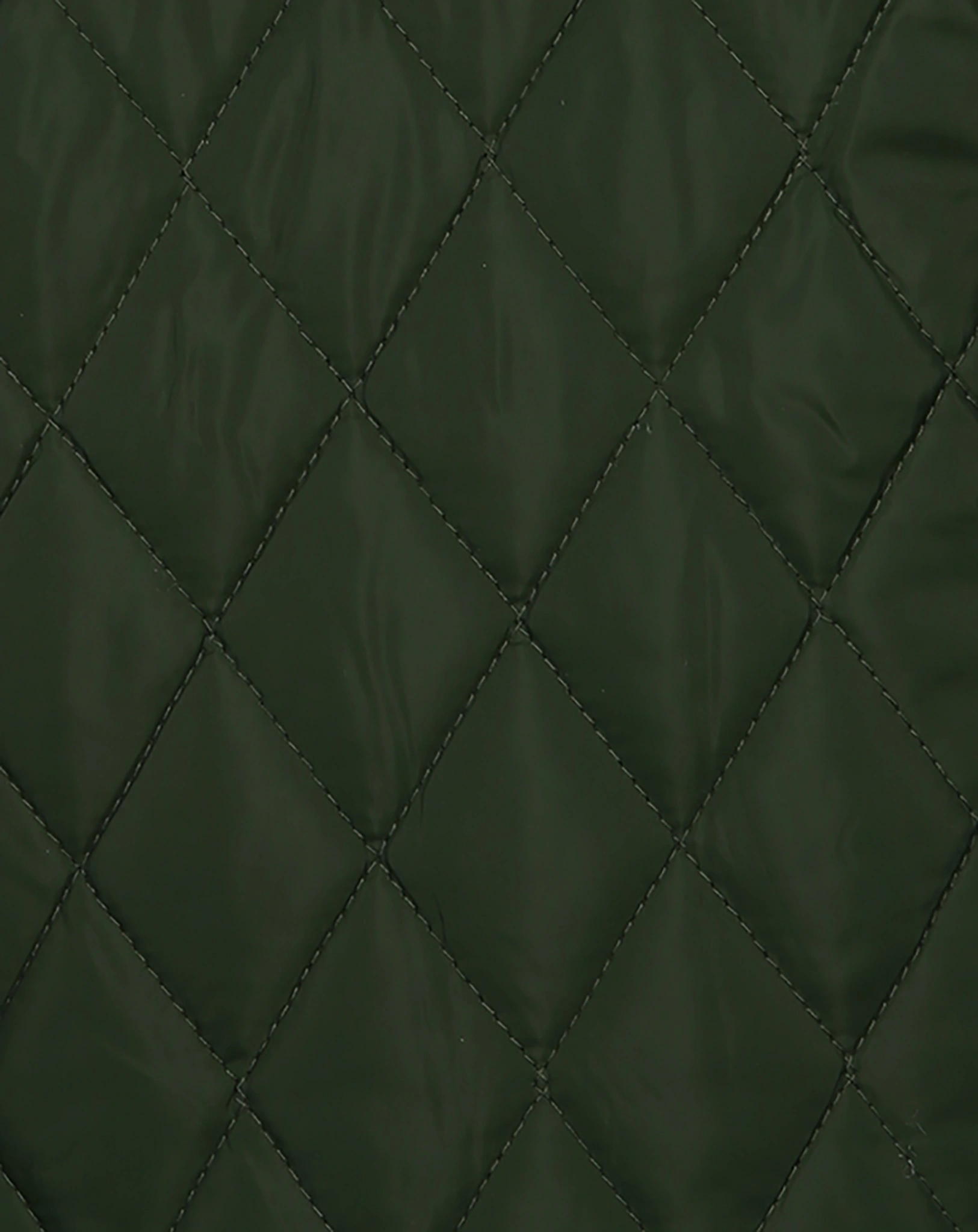 Steppjacke COZY in efeu