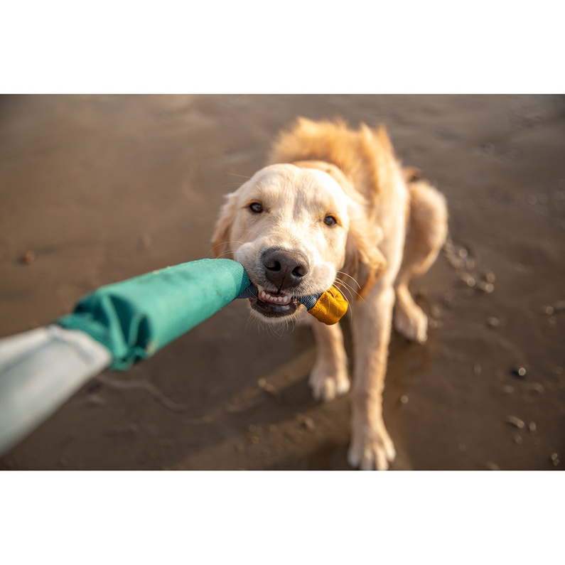 Ruffwear Pacific Loop Hundespielzeug