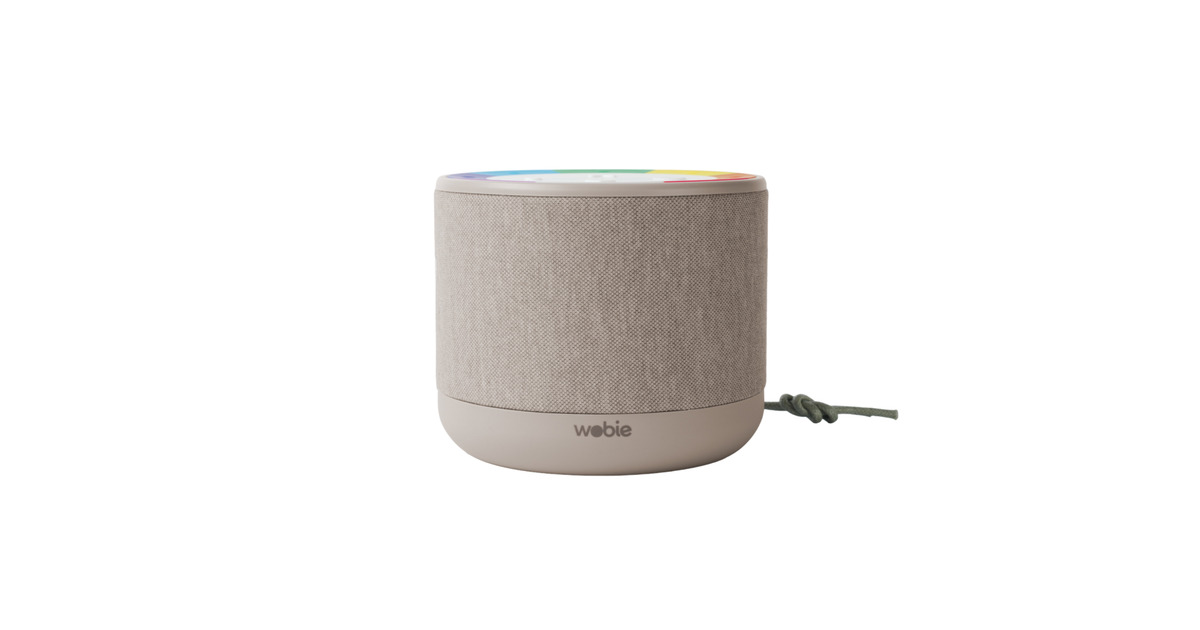 Wobiebox Grey luidspreker  (Grijs, WiFi, Bluetooth, Kindvriendelijk)