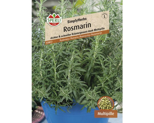 Rozemarijn 'SimplyHerbs' Sperli Kruidenzaad Multipille