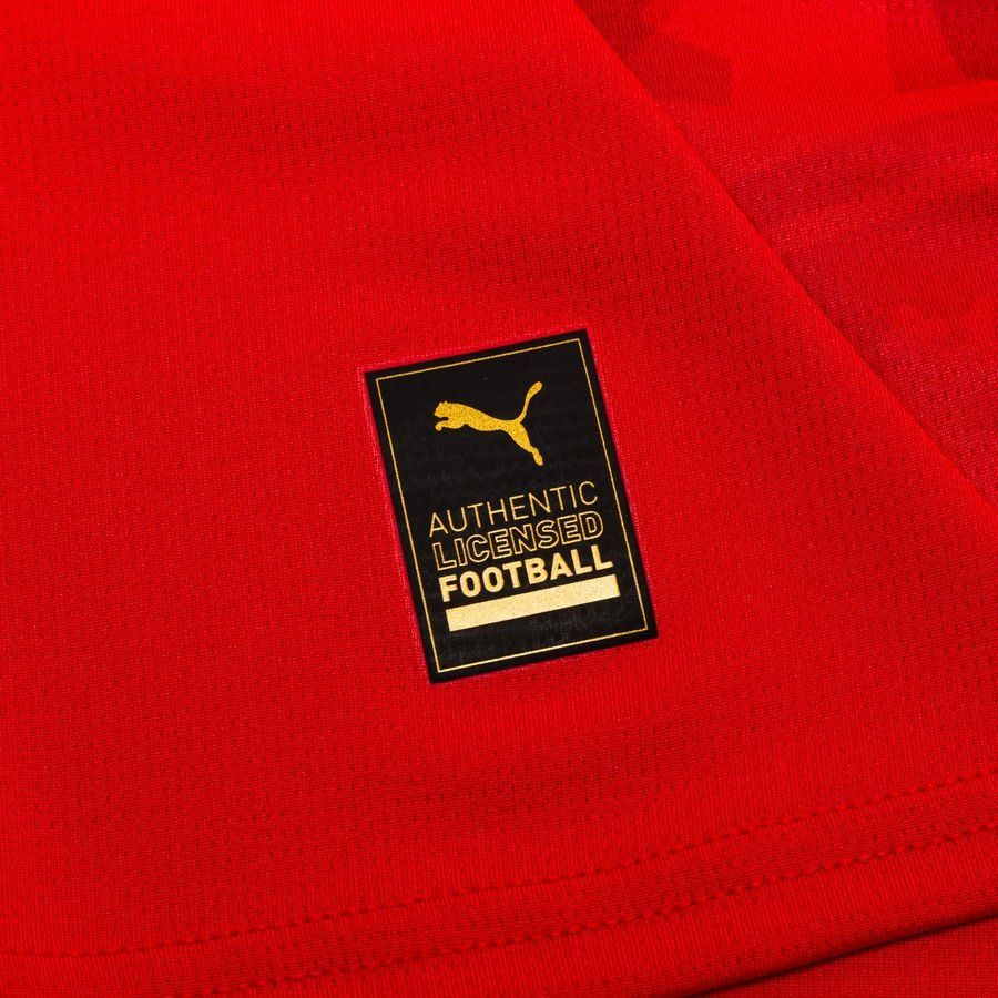 République Tchèque Maillot Domicile 2024/25