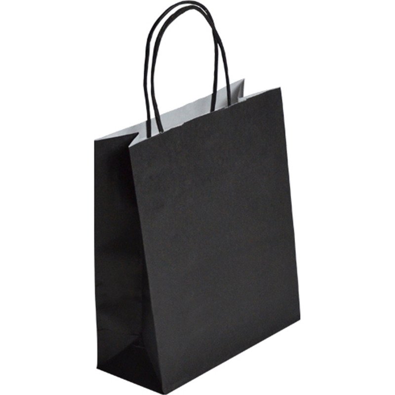 Sacs boutique kraft poignées torsadées 22 x 18 x 8 cm - 50 sacs