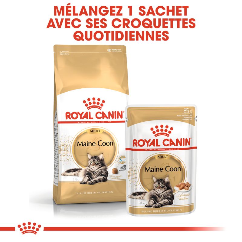 Royal Canin Maine Coon Adult à prix discount sur bitiba.fr