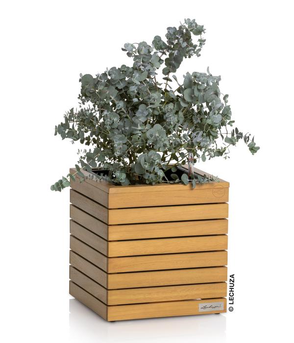 LECHUZA® Holz-Kasten PALO Natural Wood 35,
