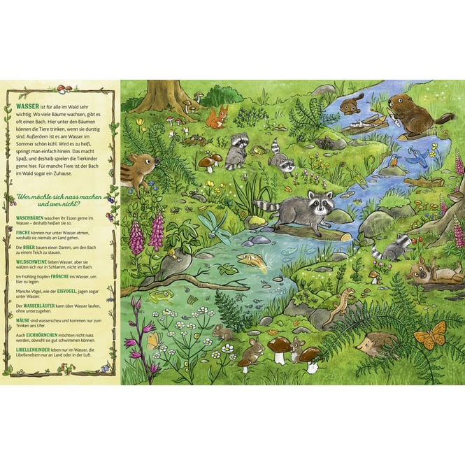 Das große Wald Wimmelbuch