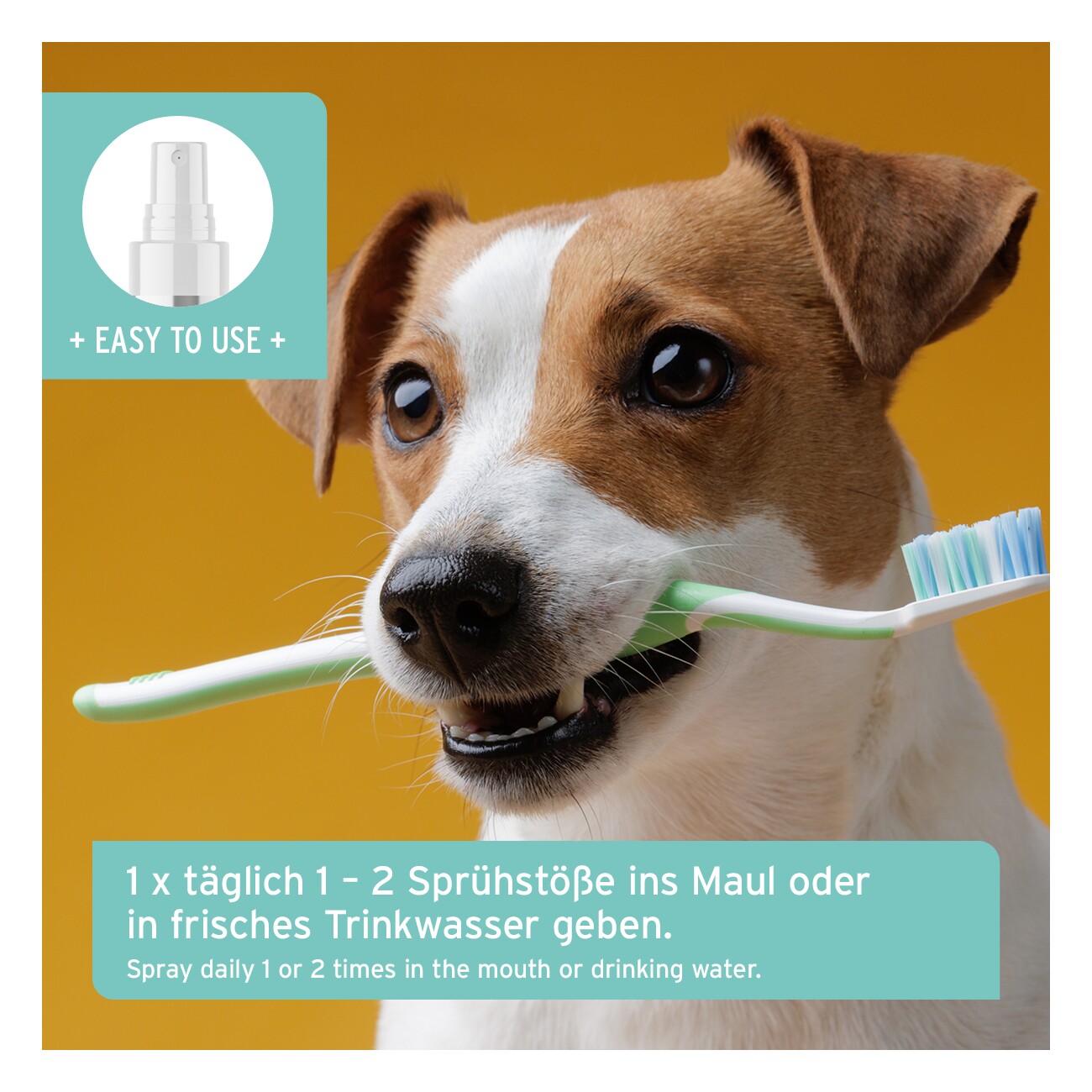 AniForte Dentalspray Zahnpflege Spray 100ml