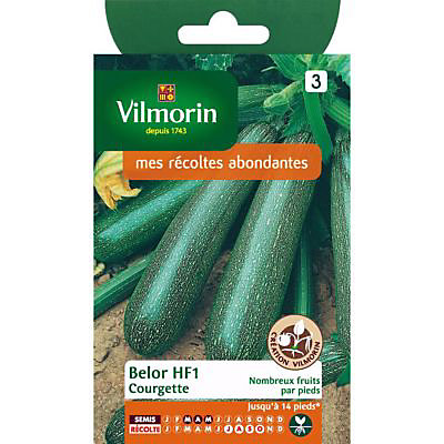 Graines de Courgette Bélor Hybride F1