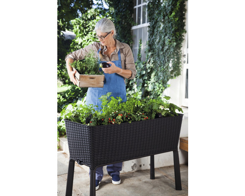 Keter Easy Growing verhoogde tuinbak op palen, 114 x 49,3 x 75,7 cm, antraciet