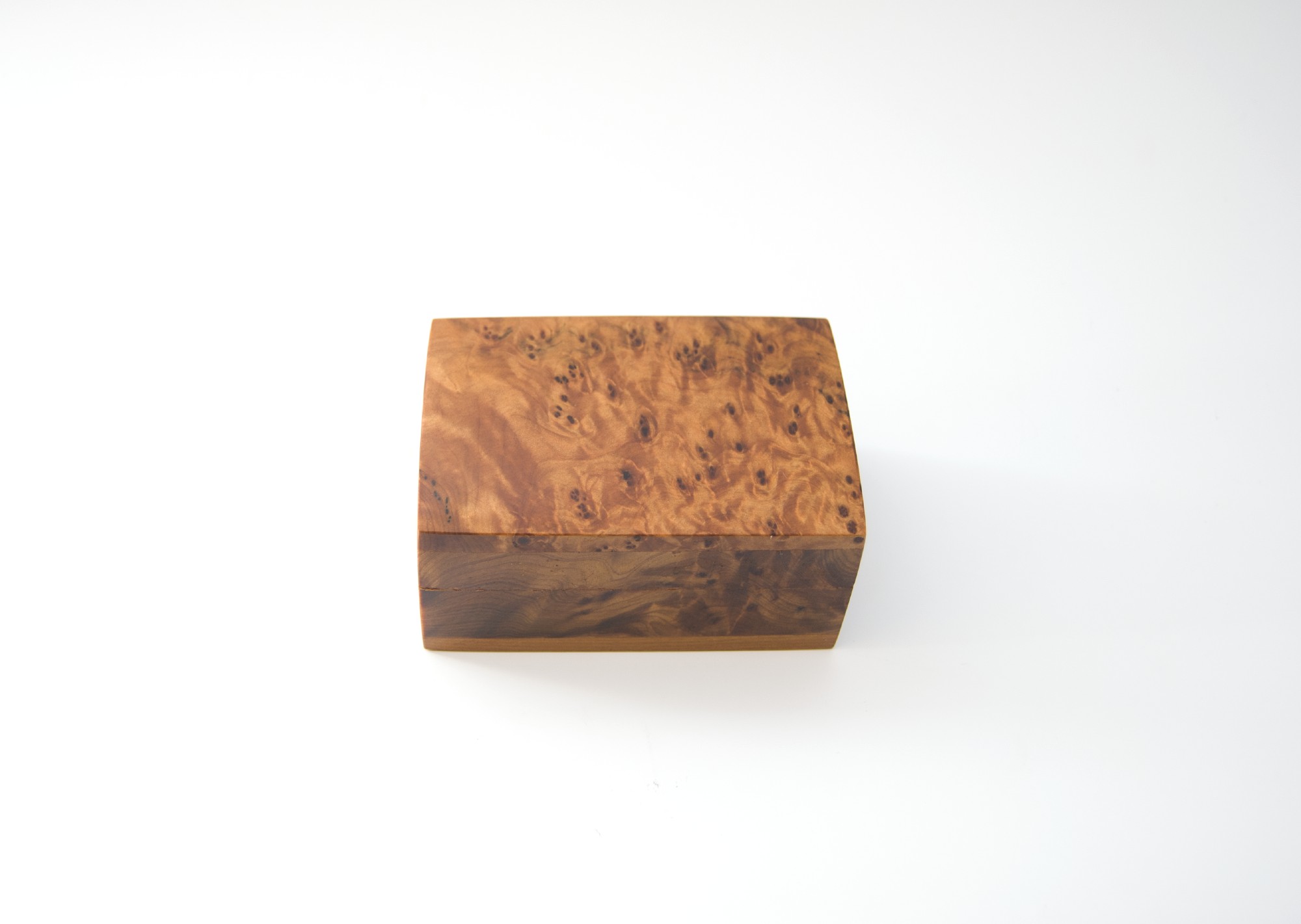 Thuja Box, braun, T 9 cm, B 6 cm, H 4 cm von fischer's lagerhaus