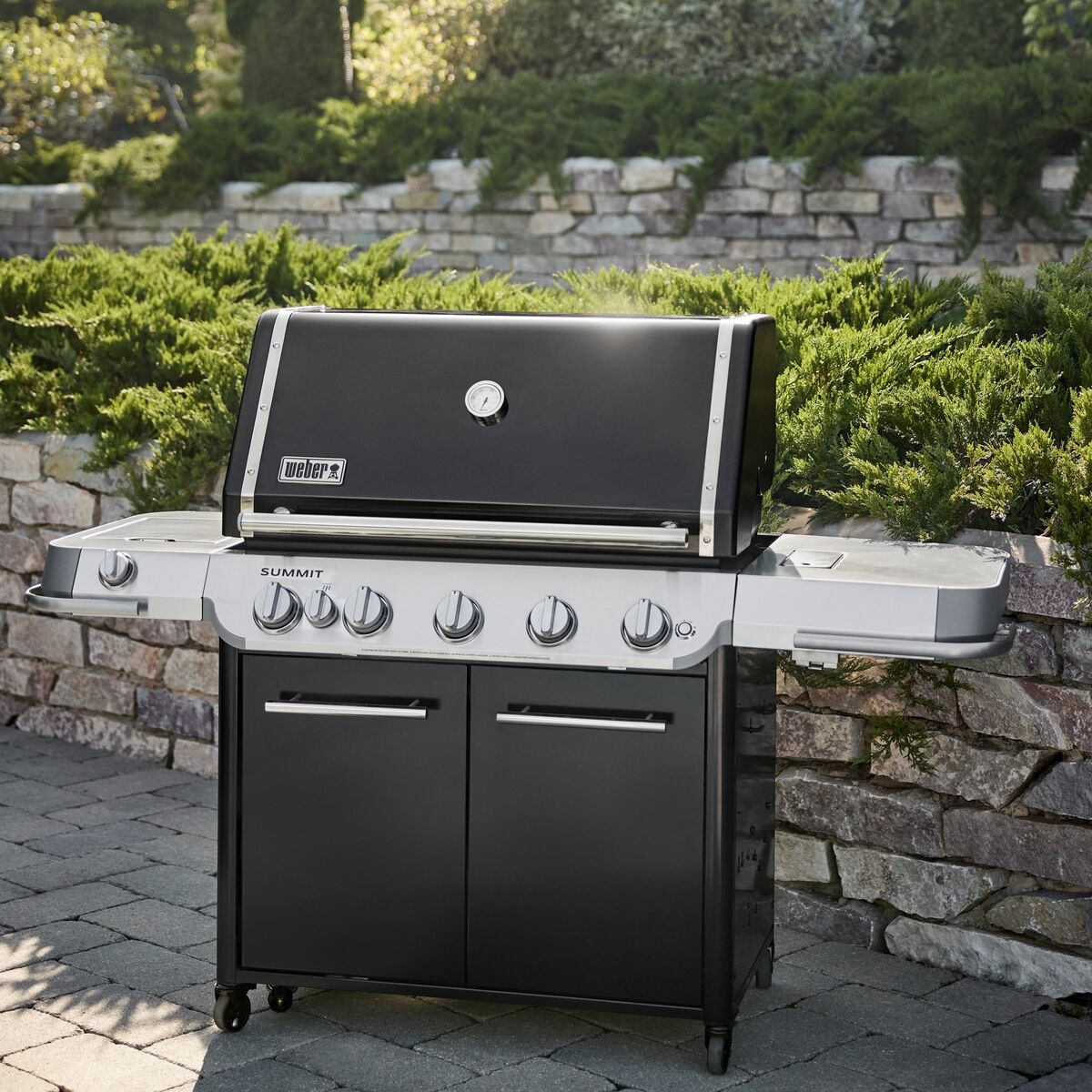 Summit E gassgrill