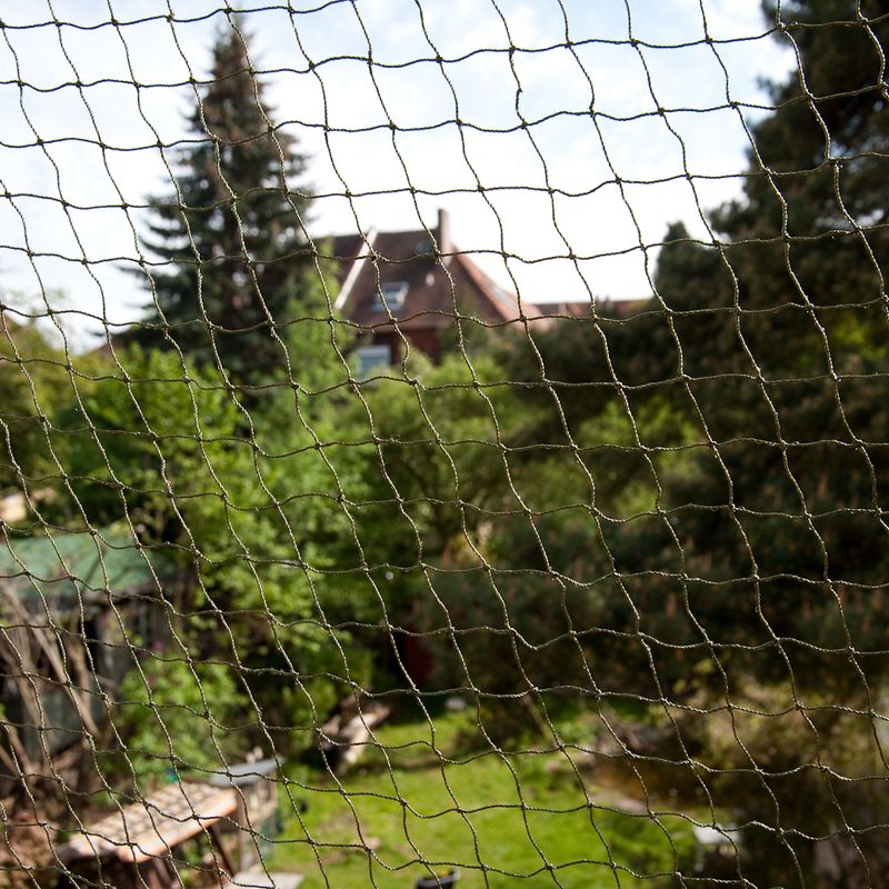 Filet de protection, renfort en fil de fer, 2 x 1,5 m