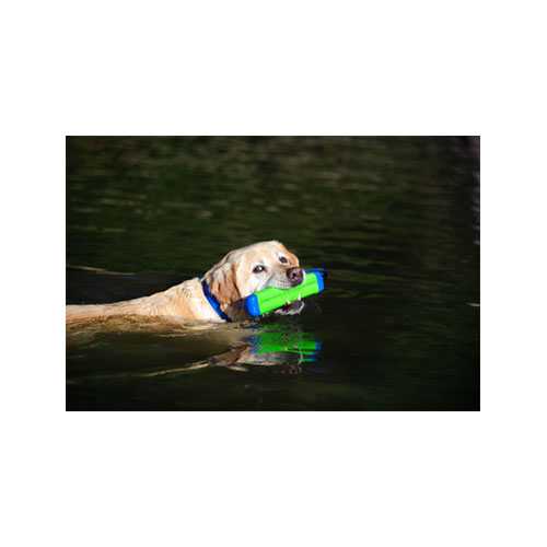 Chuckit! Amphibious Bumper