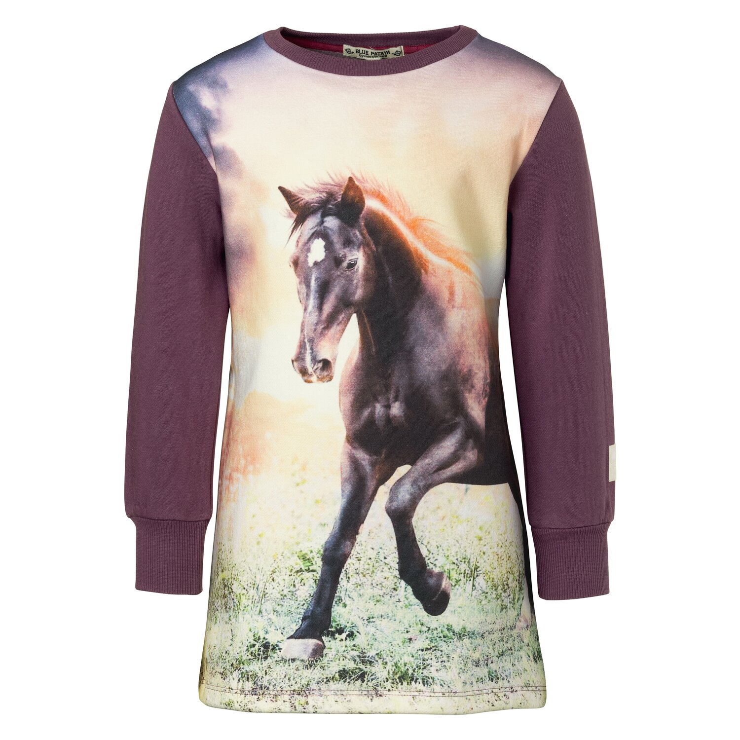 BONDI Sweatkleid Pferd  - plum