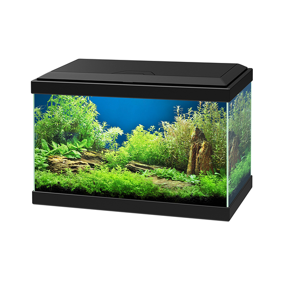 Aquarium Aqua 20 Led noir L.40 x l.20 x H.26 cm
