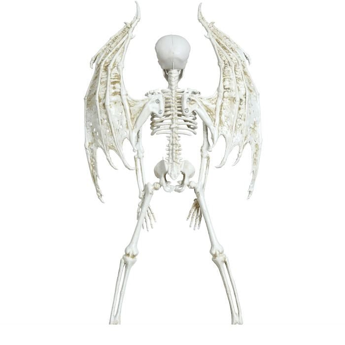 Halloween Skelet Met Vleugels 46cm