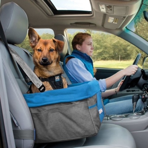 Assento elevatório para cães azul e cinza
