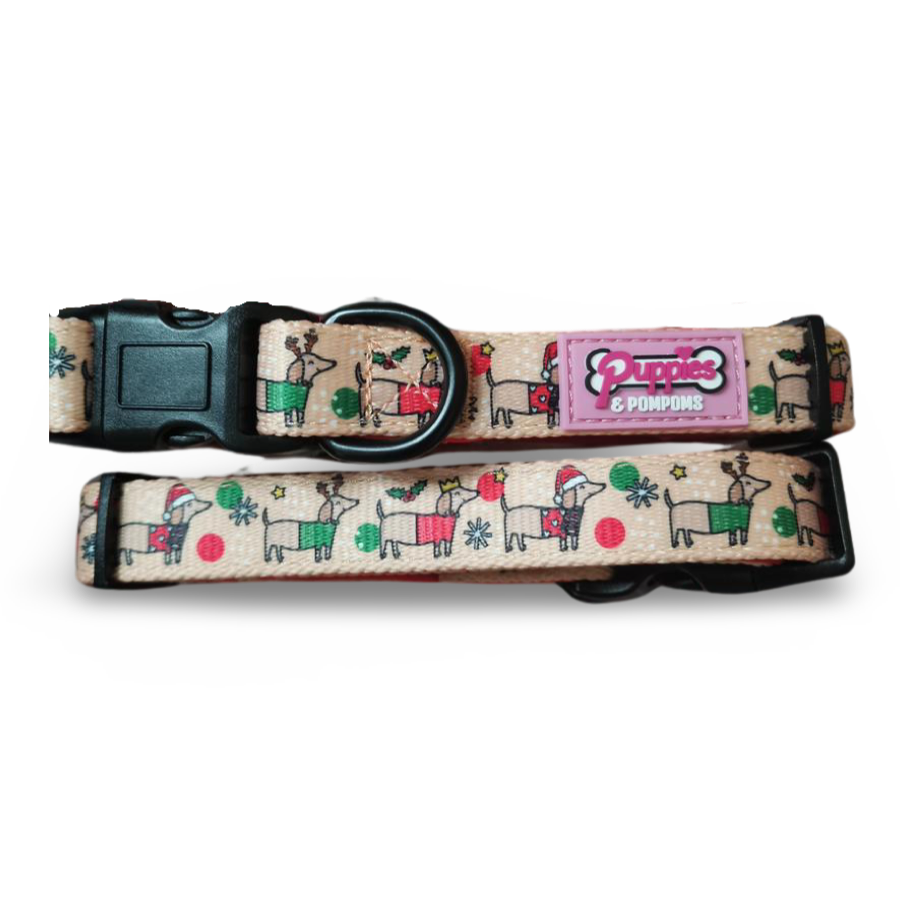 Coleira de Natal para Dachshund