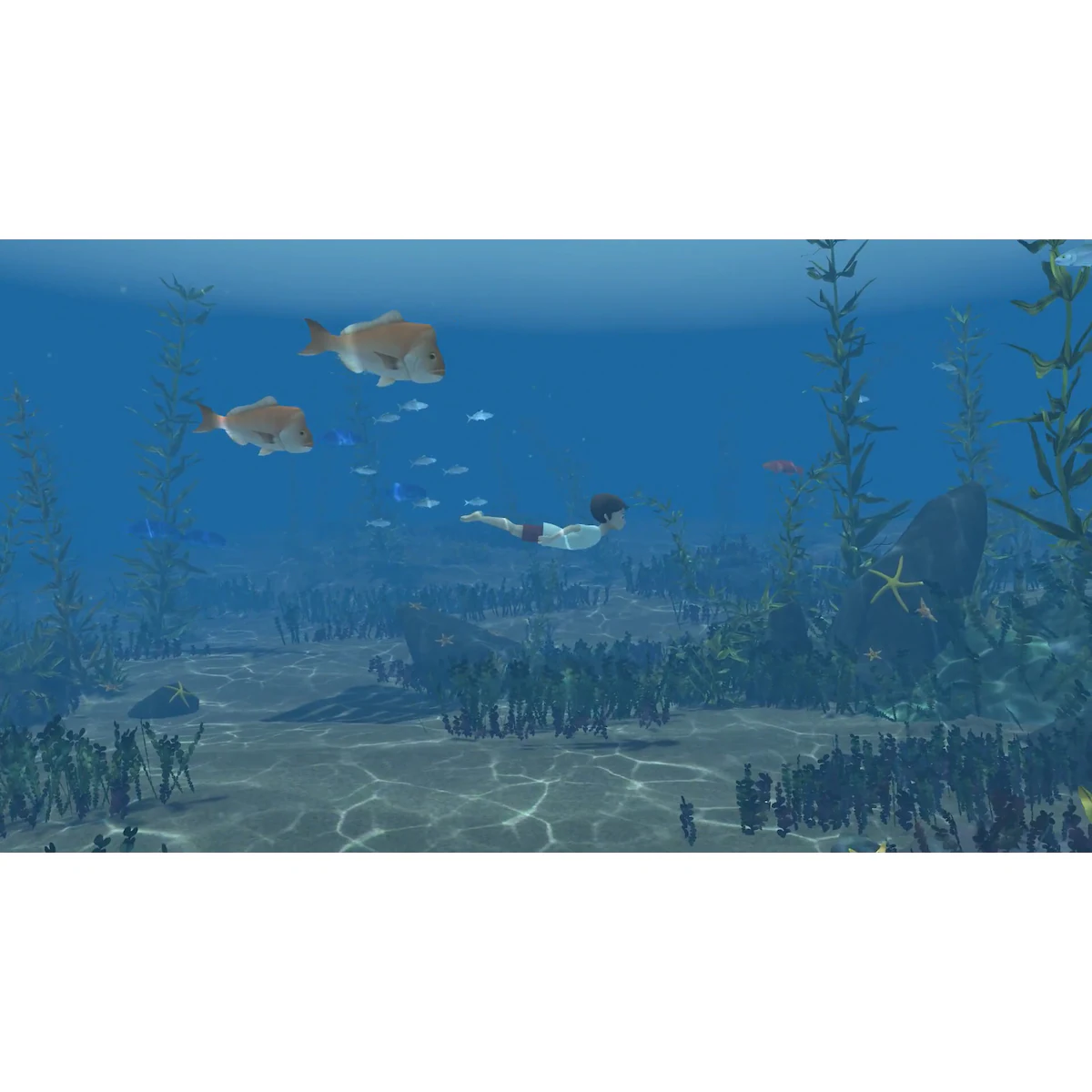Storm Boy - PC Windows,Mac OSX