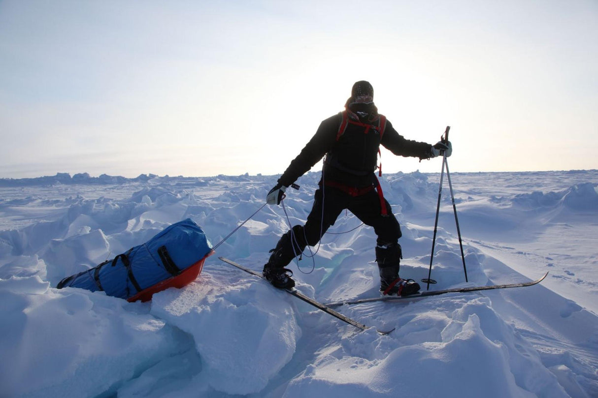 Baffin<br>Tundra
