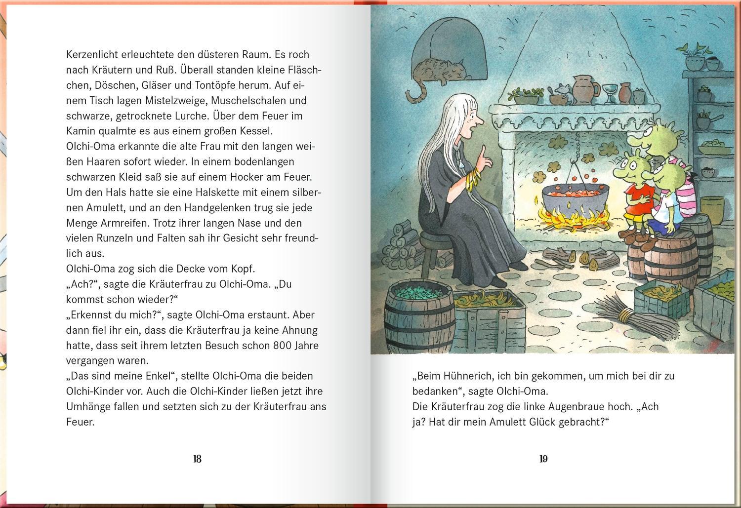 Die Olchis im Land der Ritter