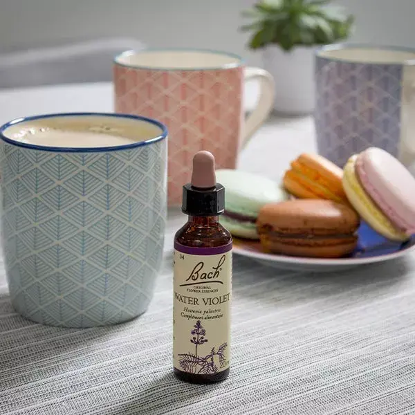 Florais de Bach Originais - Violeta Aquática 20ml