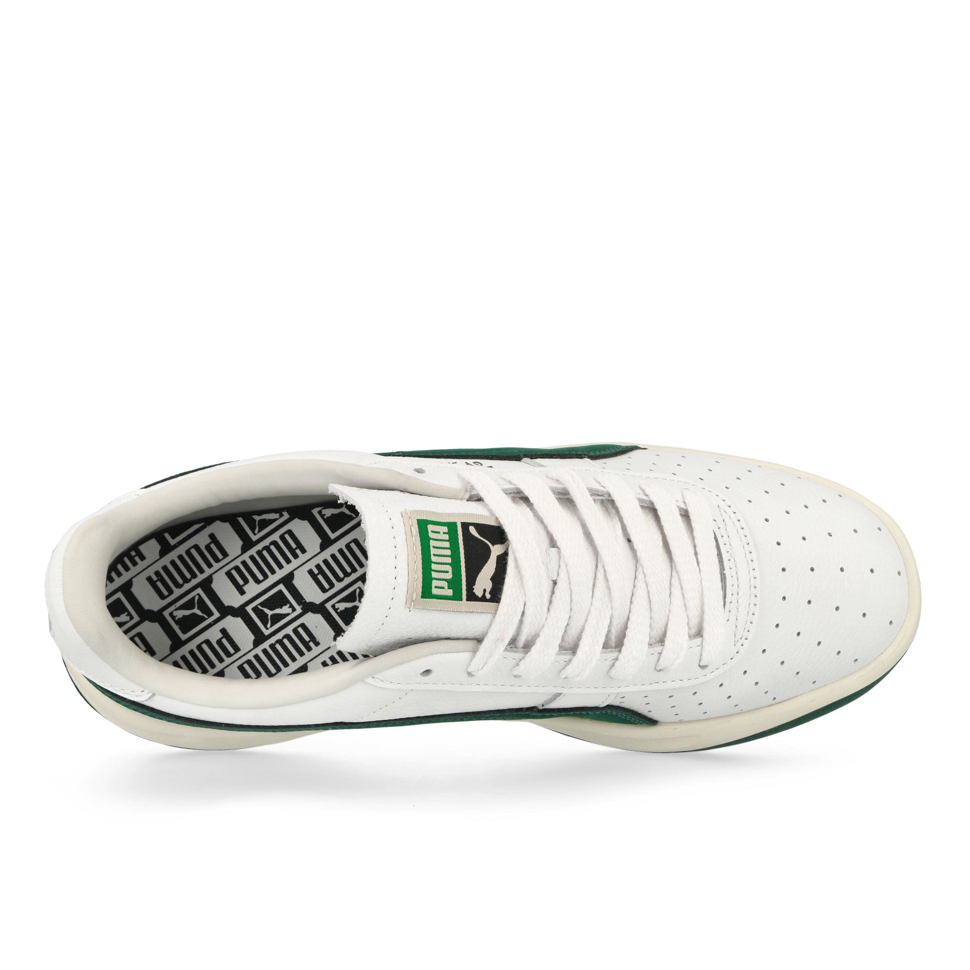Puma<br>GV Special Base