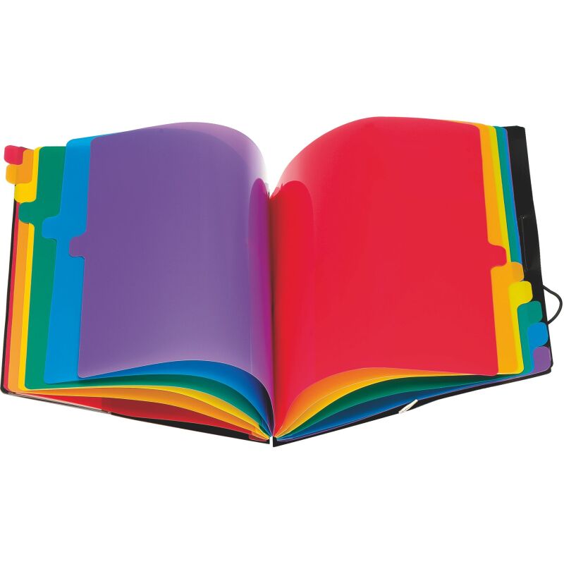 Trieur plastique Viquel Rainbow Class à soufflet 12 divisions noir