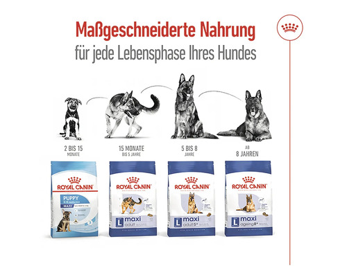 ROYAL CANIN Maxi Adult droog hondenvoer 15 kg