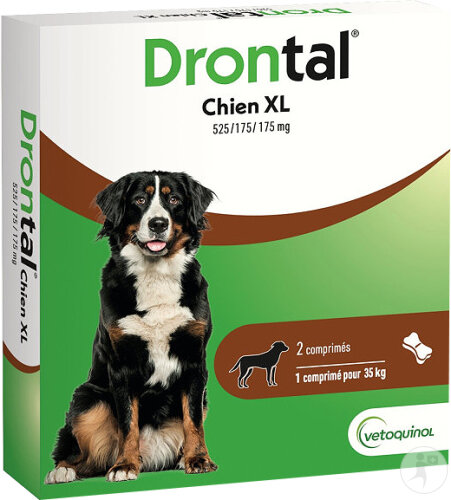 Drontal P XL Vermifuge Contre Vers Ronds/Vers Plats Grands Chiens 2 Comprimés Sécables