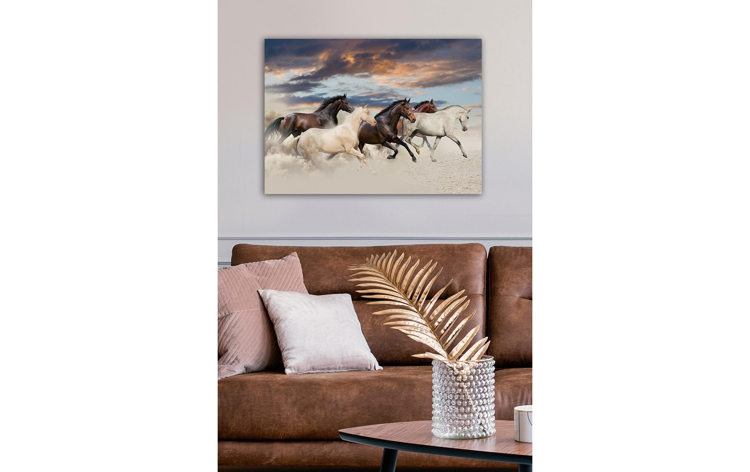Bild Pferde 50 x 70 cmDekorative Leinwandmalerei