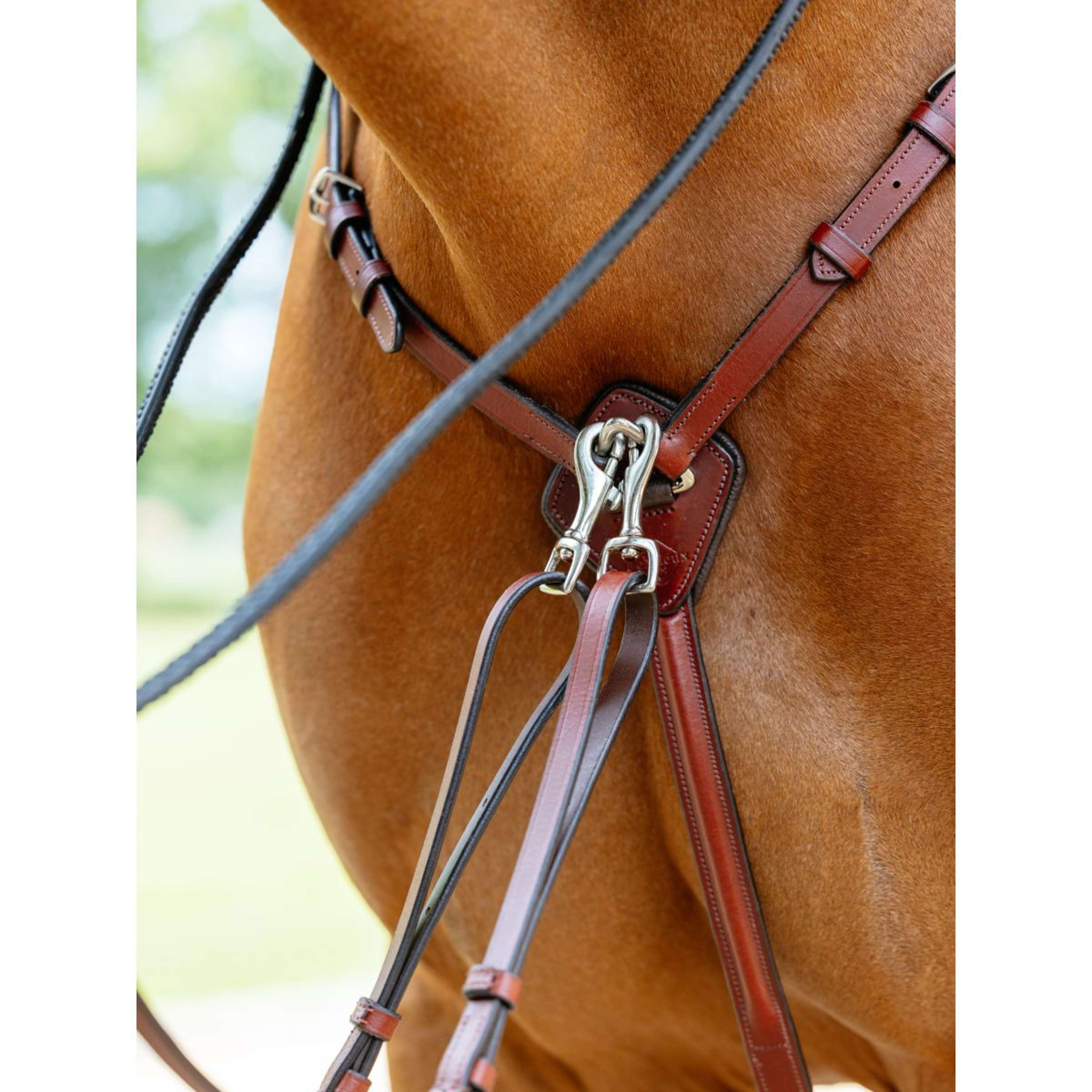 LeMieux Borsttuig D-Ring Attachment Chestnut