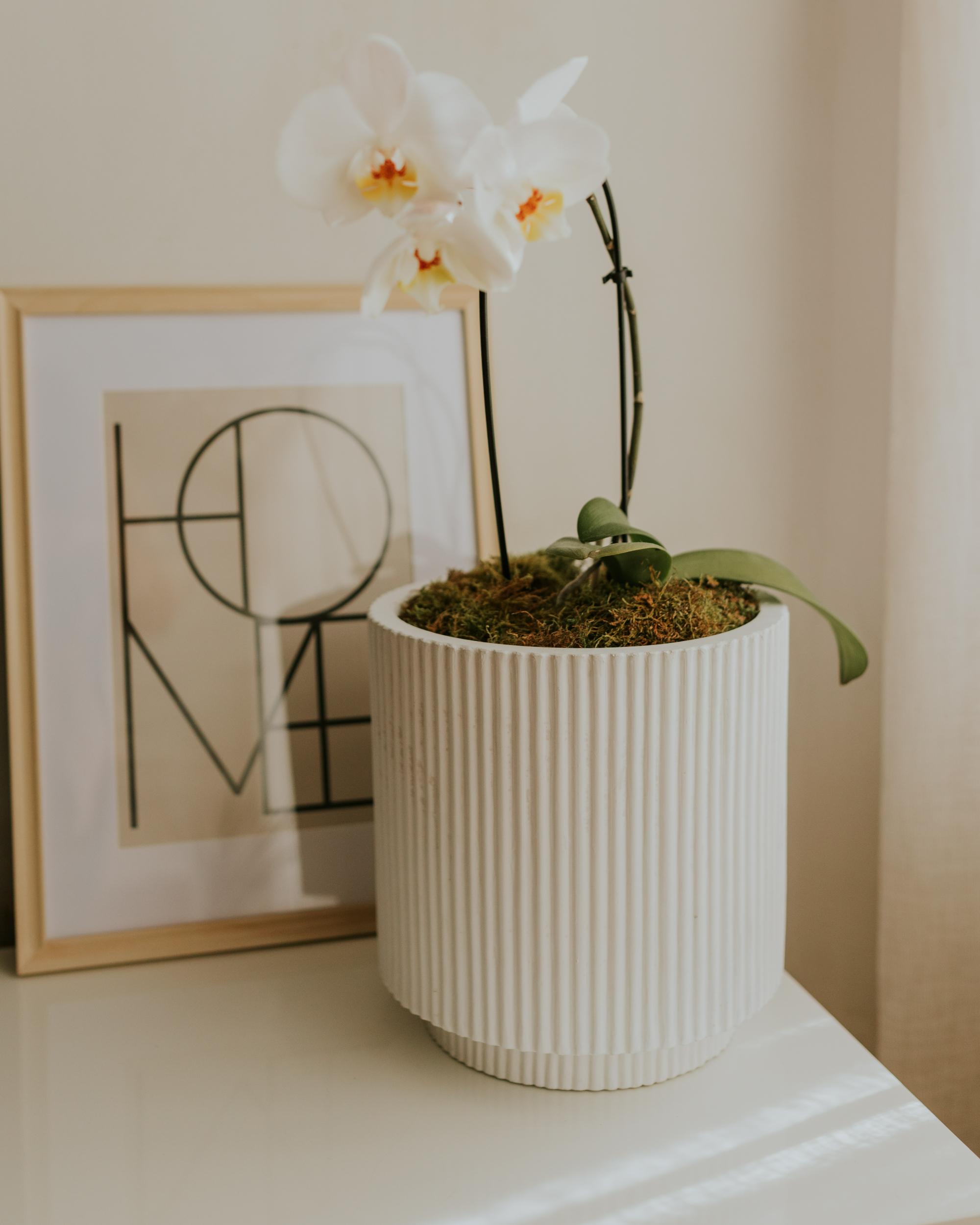 Bloempot DARIA 30 cm Gebroken wit