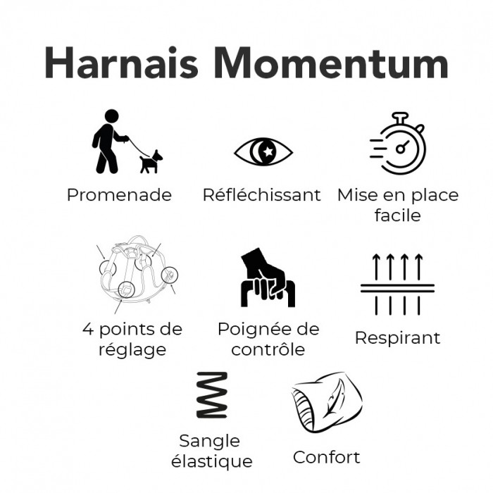 Harnais Momentum Cuivre