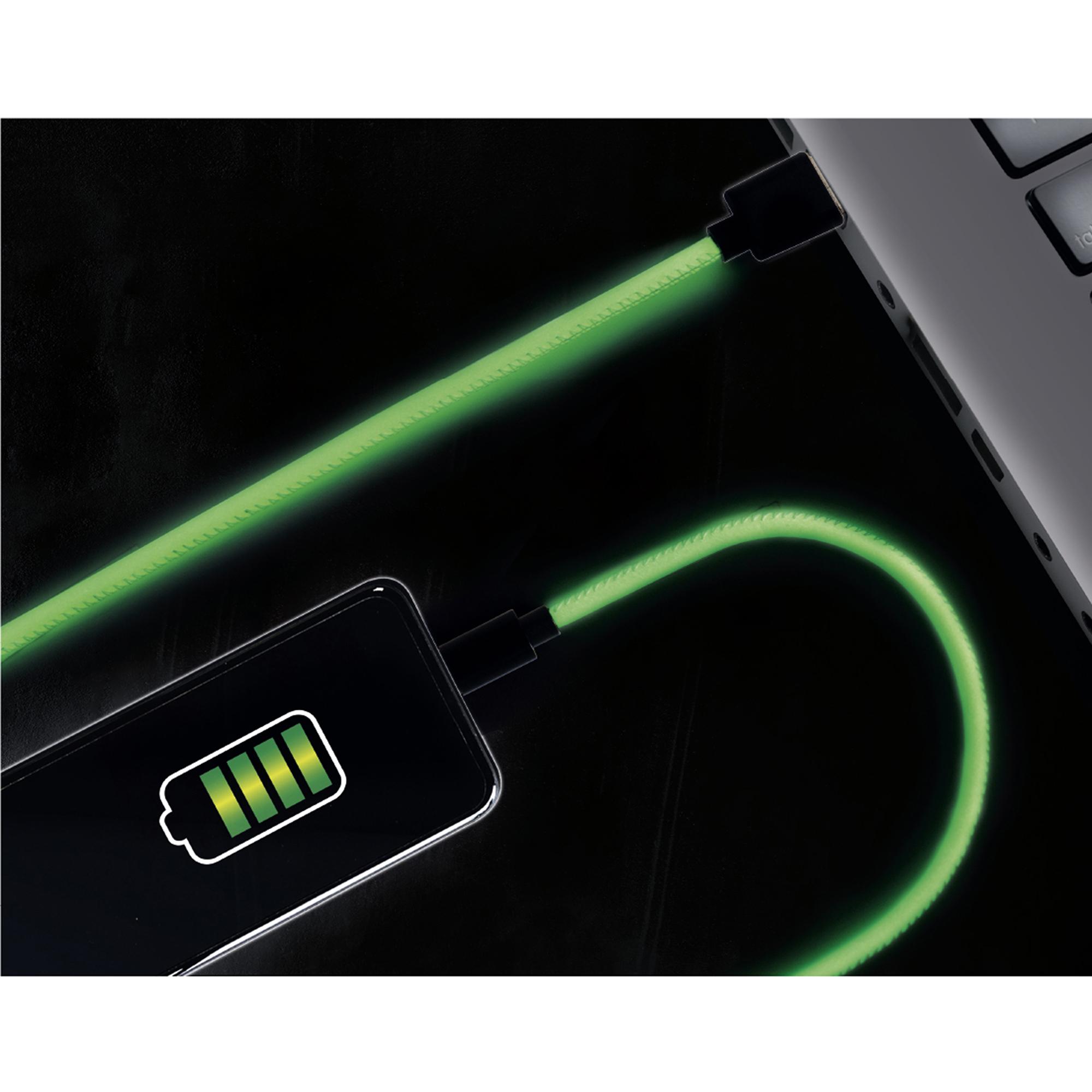 CABLE CHARGE RAPIDE 2A TYPE C 2M