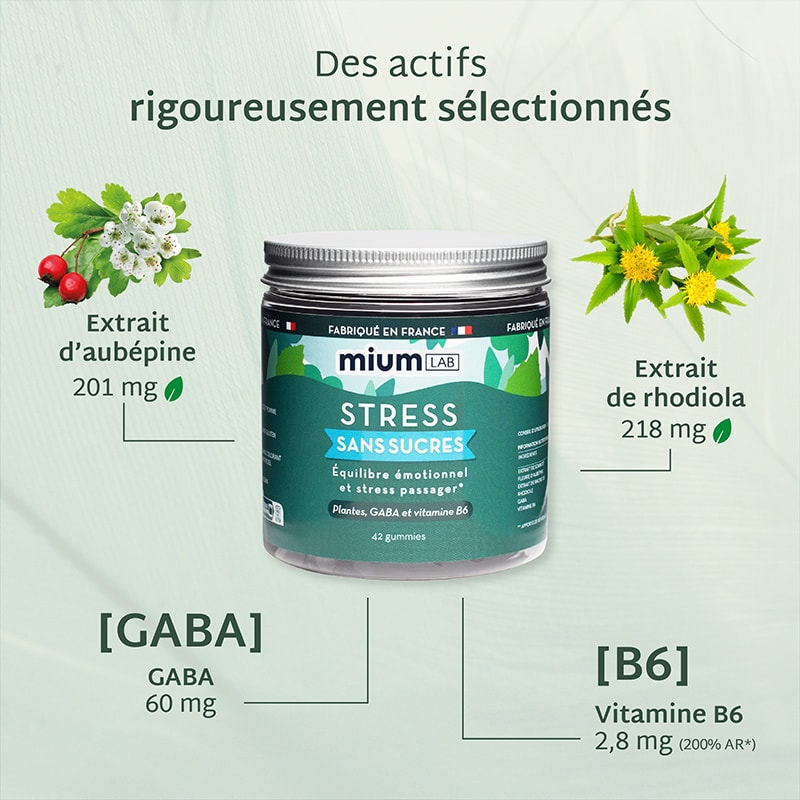 Cure gummies stress - Pomme verte - Sans sucres - 2 mois
