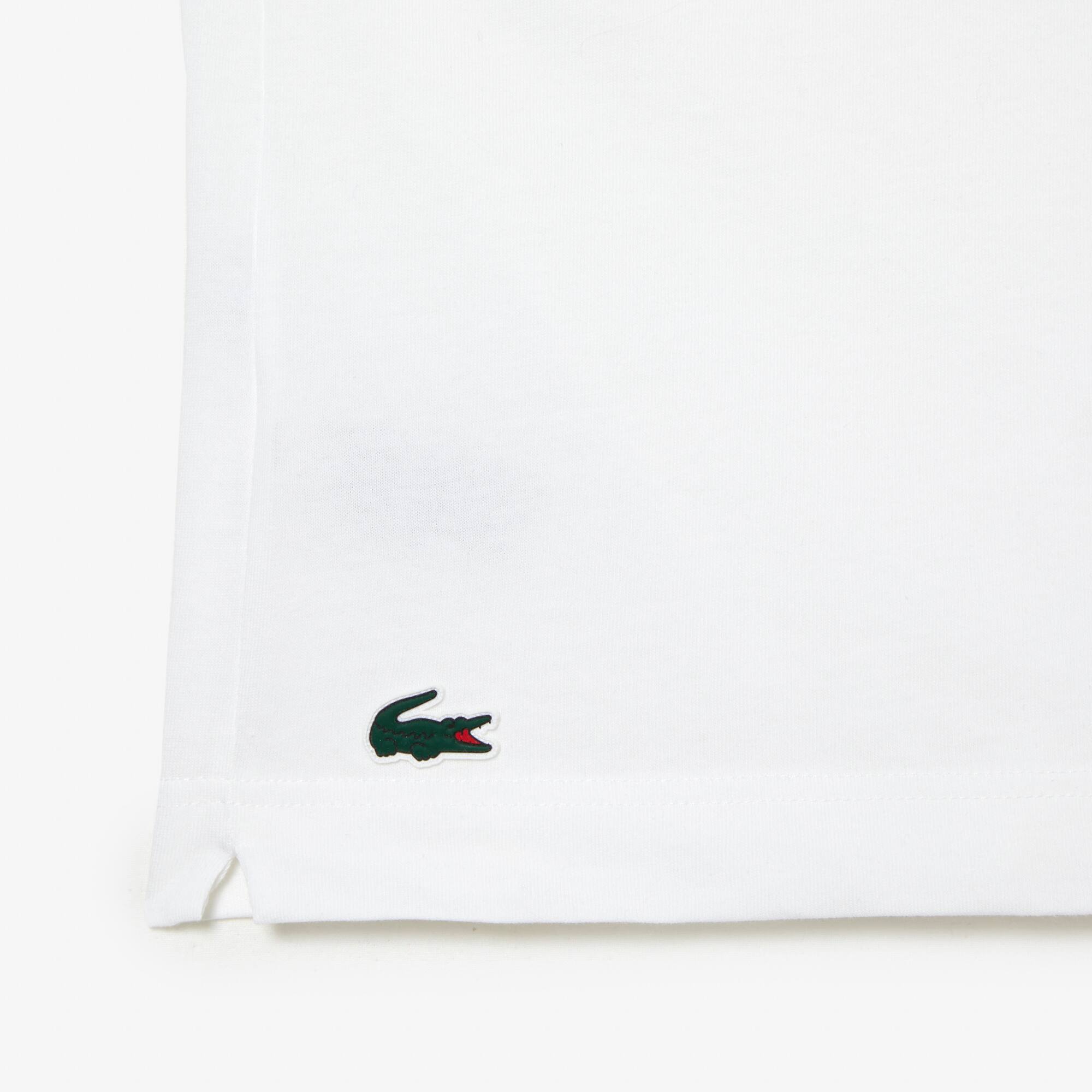 Pack t-shirt homme regular fit et casquette Lacoste Tennis x Novak Djokovic T-Shirts - Blanc - Lacoste - Homme
