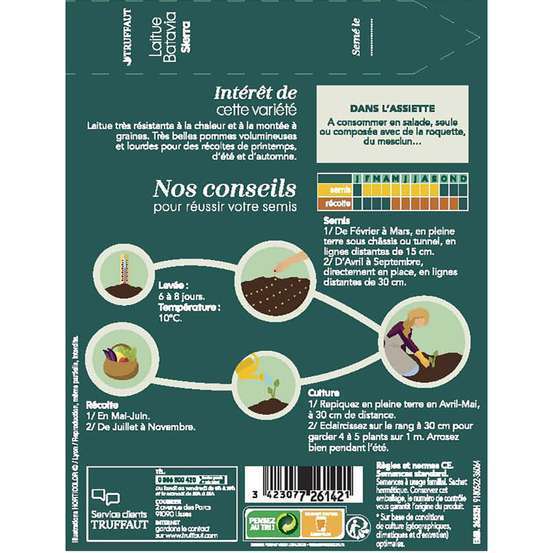 Graines de laitue Batavia Sierra en sachet