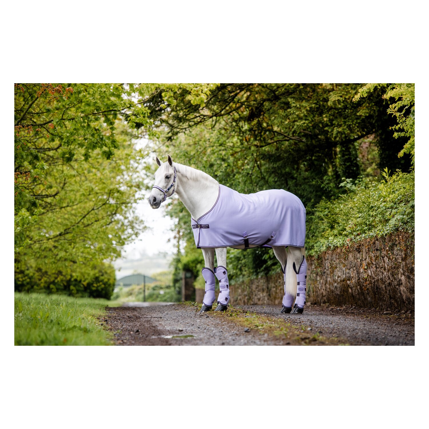 HORSEWARE Abschwitzdecke AMIGO Jersey Cooler  - lavender