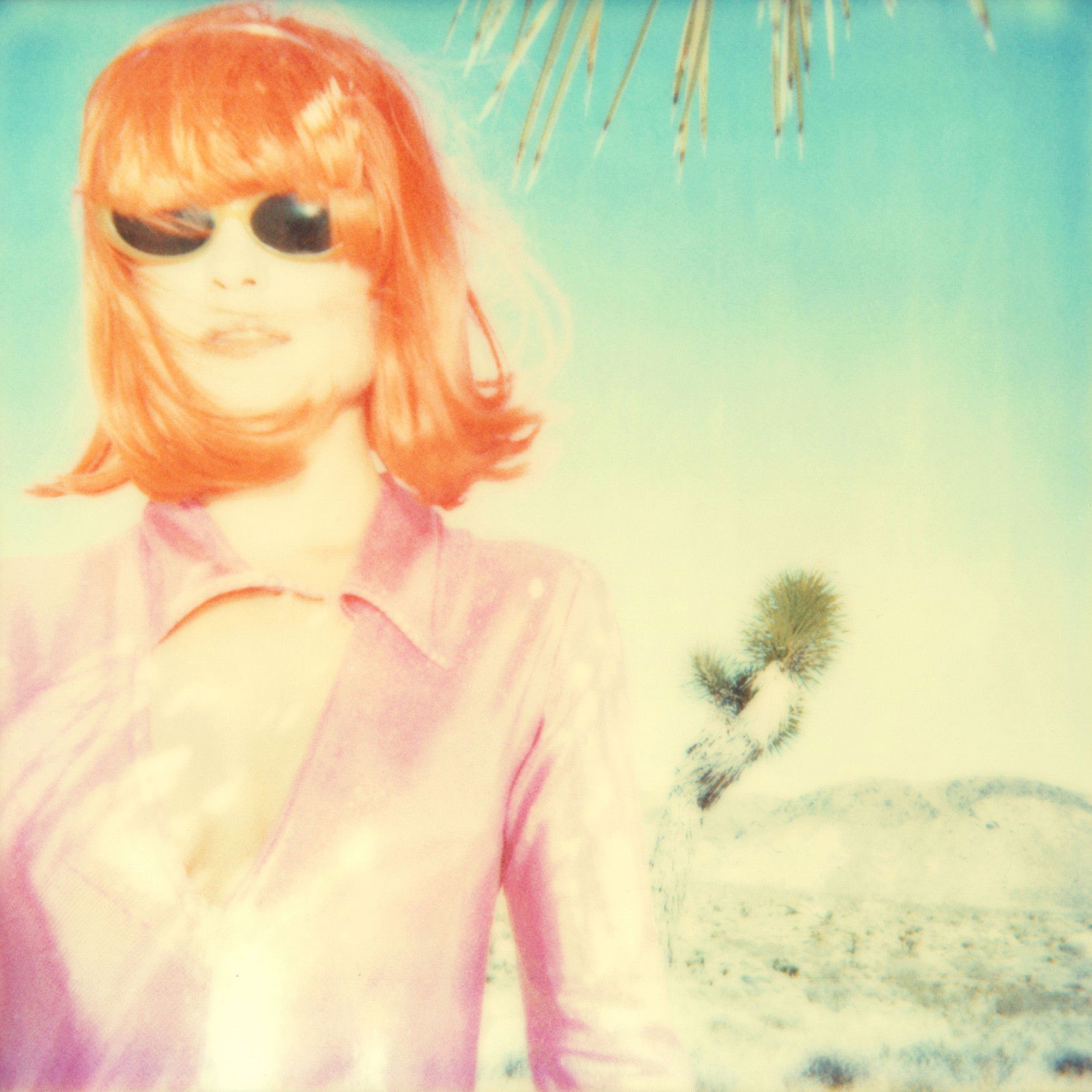 Long Way Home 1 by Stefanie Schneider - Limited Edition. Edition of: 100. Signed.
