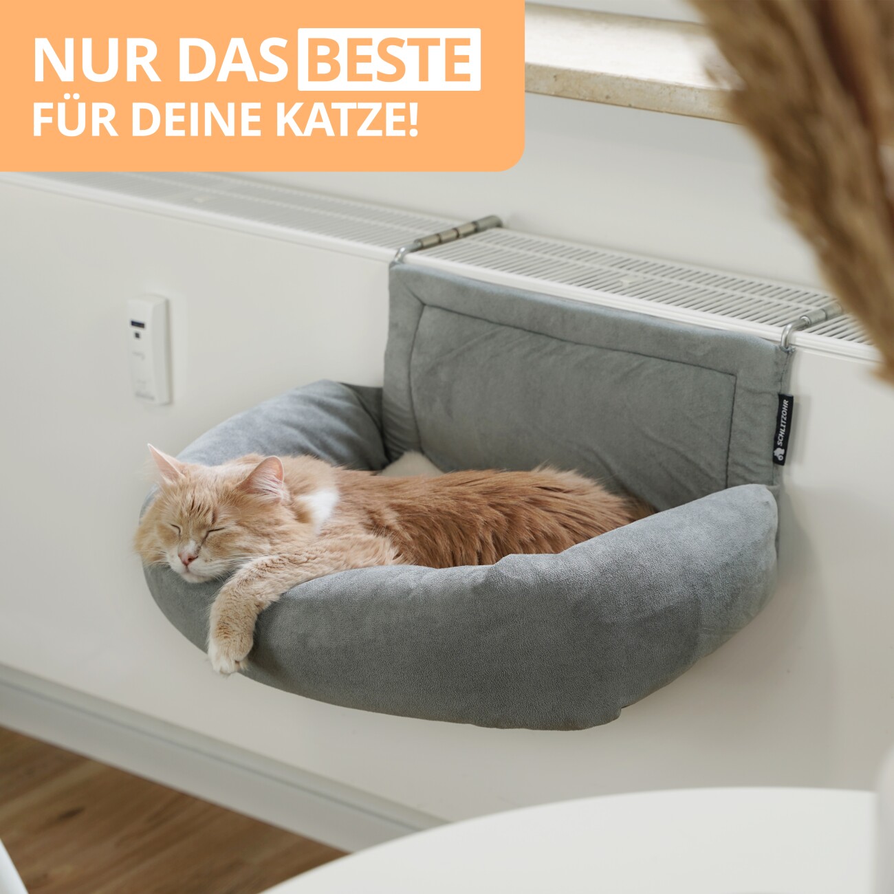 Schlitzohr Heizungsliege Murphy Grau