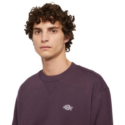 Sweatshirt homme Summerdale DICKIES