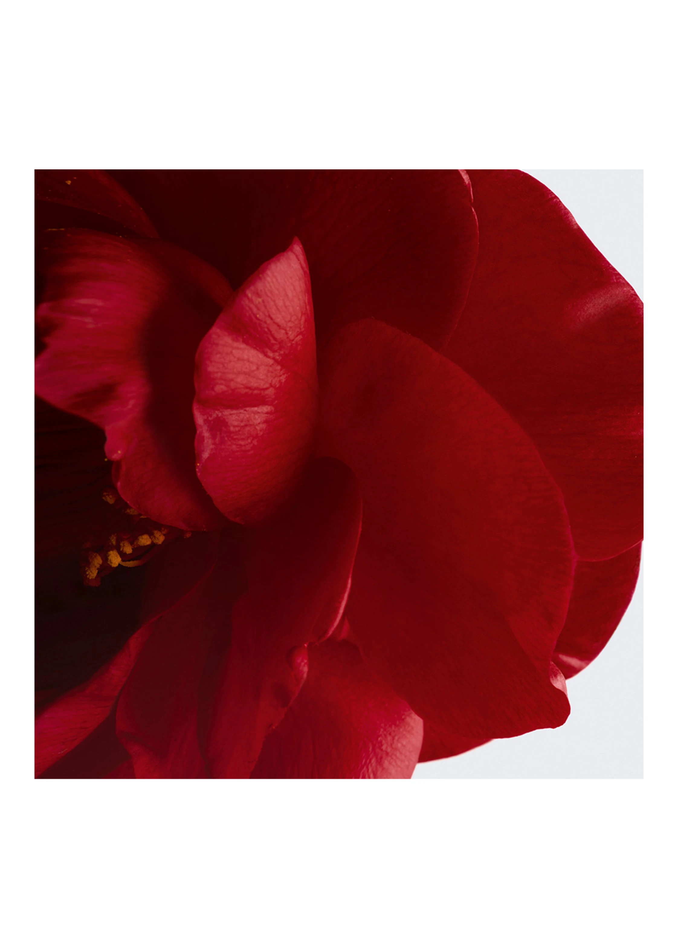 CHANEL N°1 DE CHANEL REVITALISIERENDE FOUNDATION